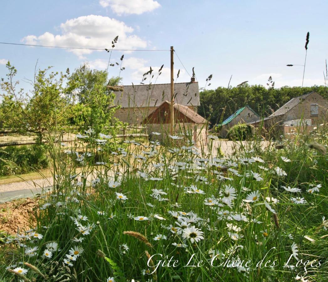 Familial Pour 6 Pers En Campagne Bouere